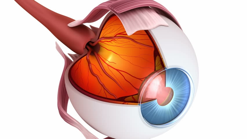 retina-anjiyosu-ffa