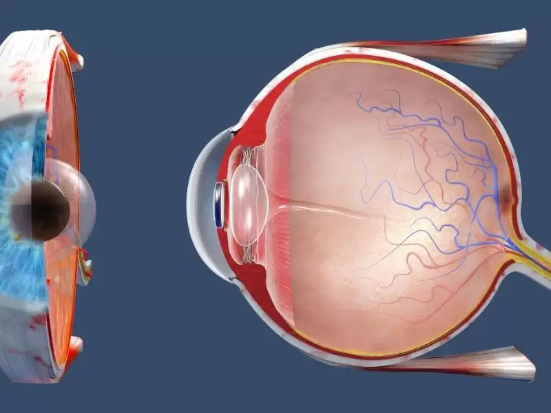 retina-cerrahisi-nedir