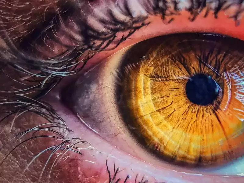 retina